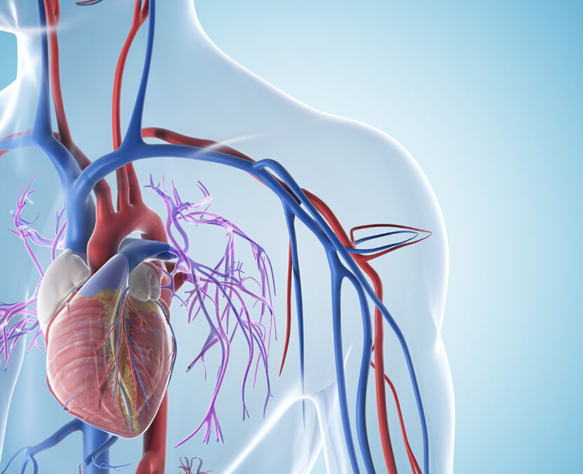 Nitrat und NO (Nitric Oxide)